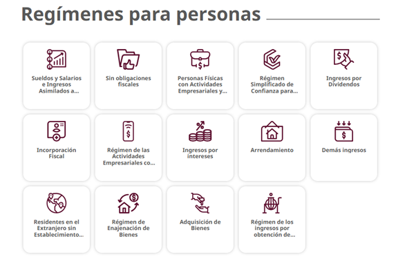 Declaración Anual Persona Física